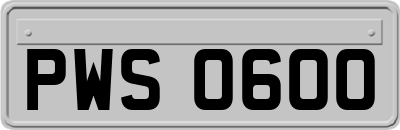 PWS0600