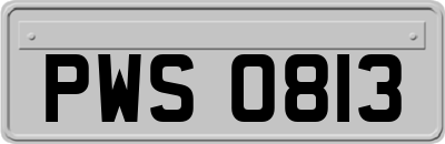 PWS0813