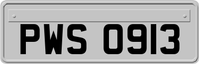 PWS0913