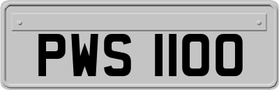 PWS1100