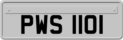 PWS1101