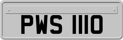 PWS1110