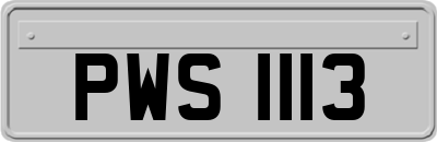 PWS1113