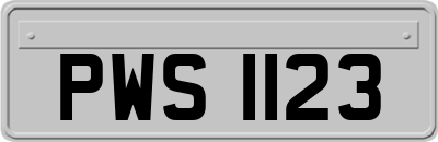 PWS1123