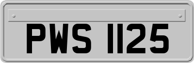 PWS1125