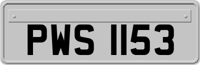 PWS1153