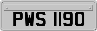 PWS1190