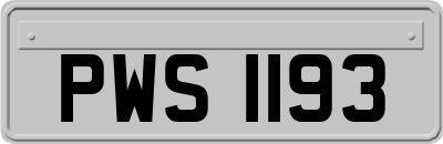 PWS1193