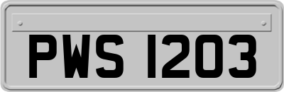 PWS1203