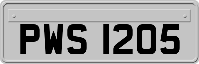 PWS1205