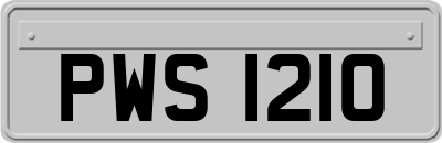 PWS1210