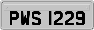 PWS1229