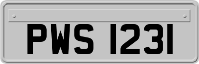 PWS1231