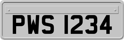 PWS1234