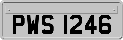 PWS1246