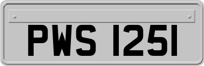 PWS1251