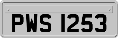 PWS1253