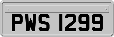 PWS1299