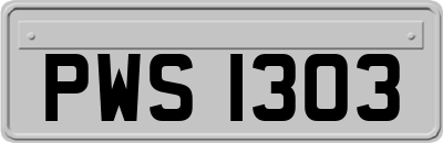 PWS1303