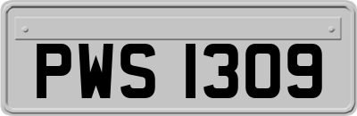 PWS1309