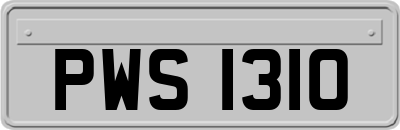 PWS1310