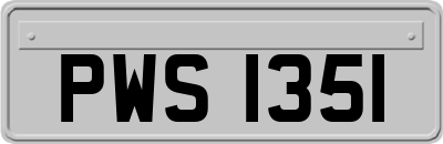 PWS1351