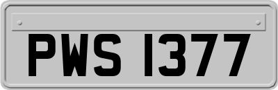 PWS1377