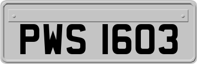 PWS1603