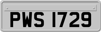 PWS1729