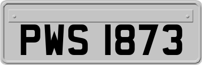 PWS1873