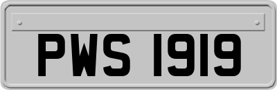 PWS1919