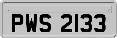 PWS2133