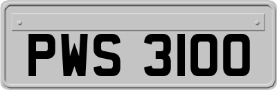 PWS3100