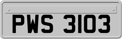 PWS3103