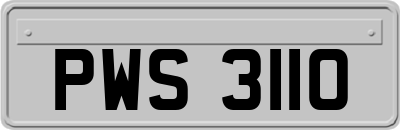 PWS3110