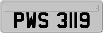 PWS3119