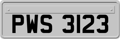 PWS3123