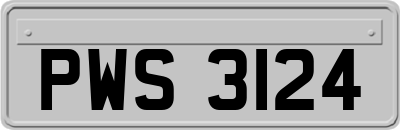 PWS3124