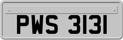 PWS3131