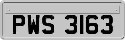 PWS3163