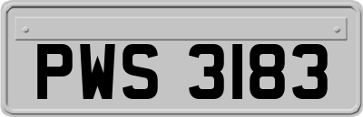 PWS3183