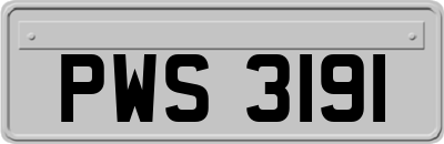 PWS3191