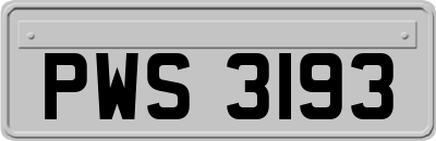 PWS3193