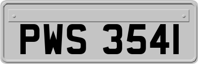 PWS3541