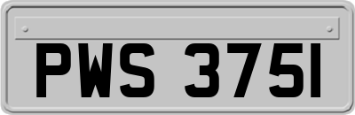 PWS3751