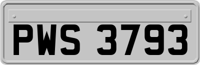 PWS3793