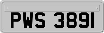 PWS3891