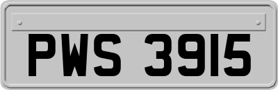 PWS3915