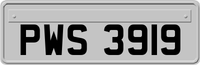 PWS3919