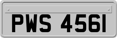 PWS4561